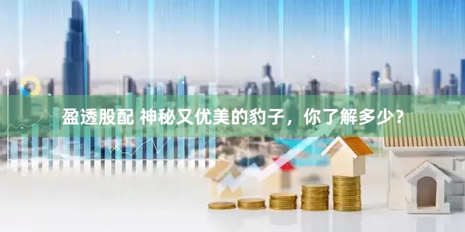 盈透股配 神秘又优美的豹子，你了解多少？