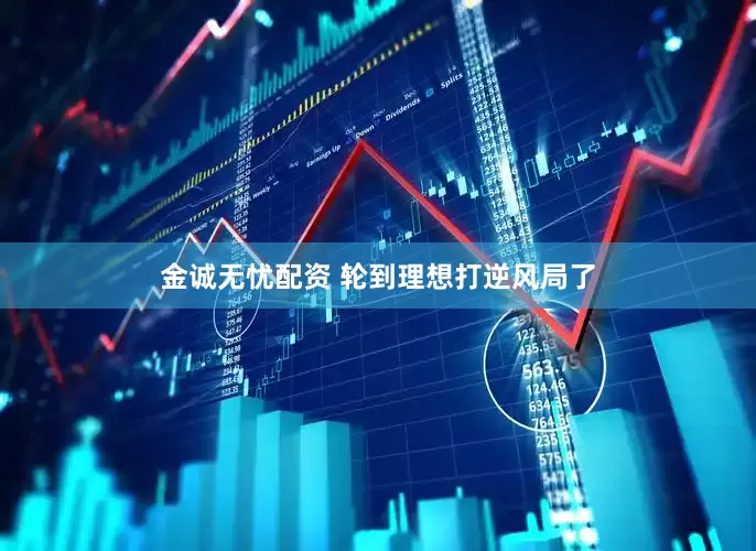 金诚无忧配资 轮到理想打逆风局了